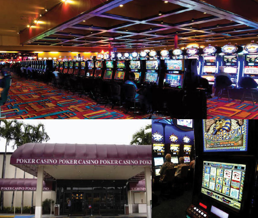 Seminole casino bingo davie fl